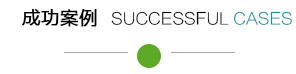 成功案例